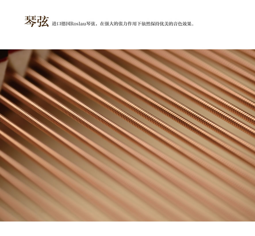 未命名-1.jpg