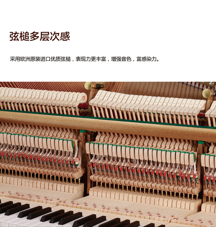 未命名-1.jpg