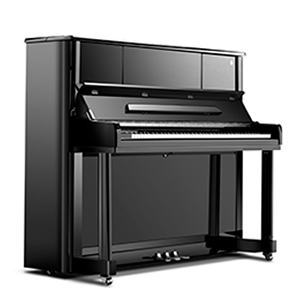 KN3