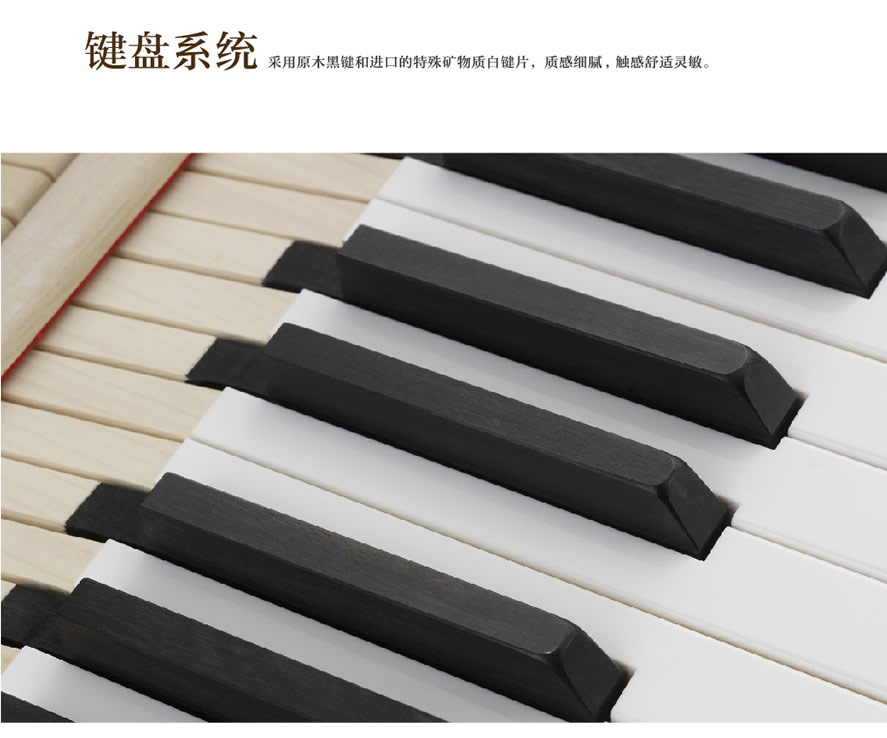 未命名-1.jpg