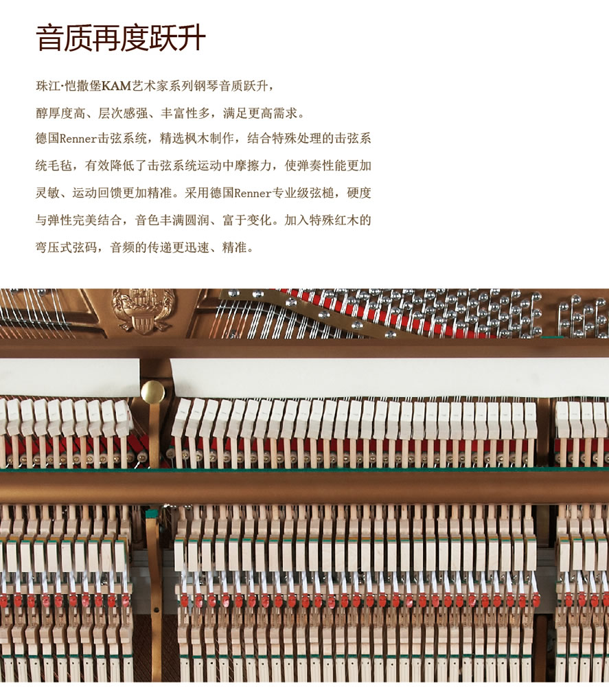 未命名-1.jpg