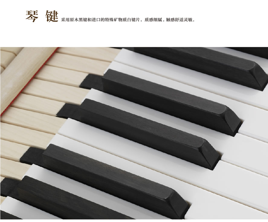 未命名-1.jpg