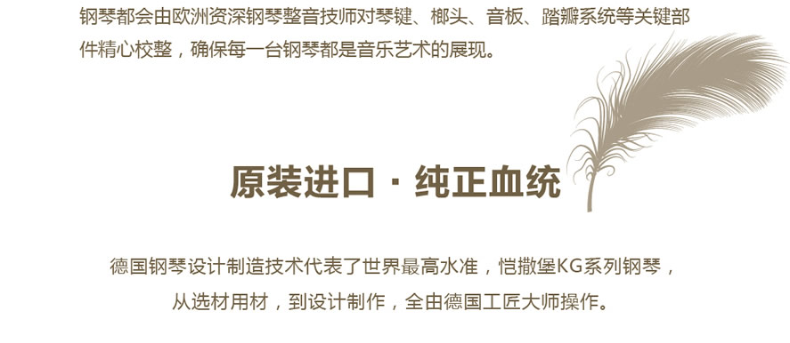 未命名-1.jpg